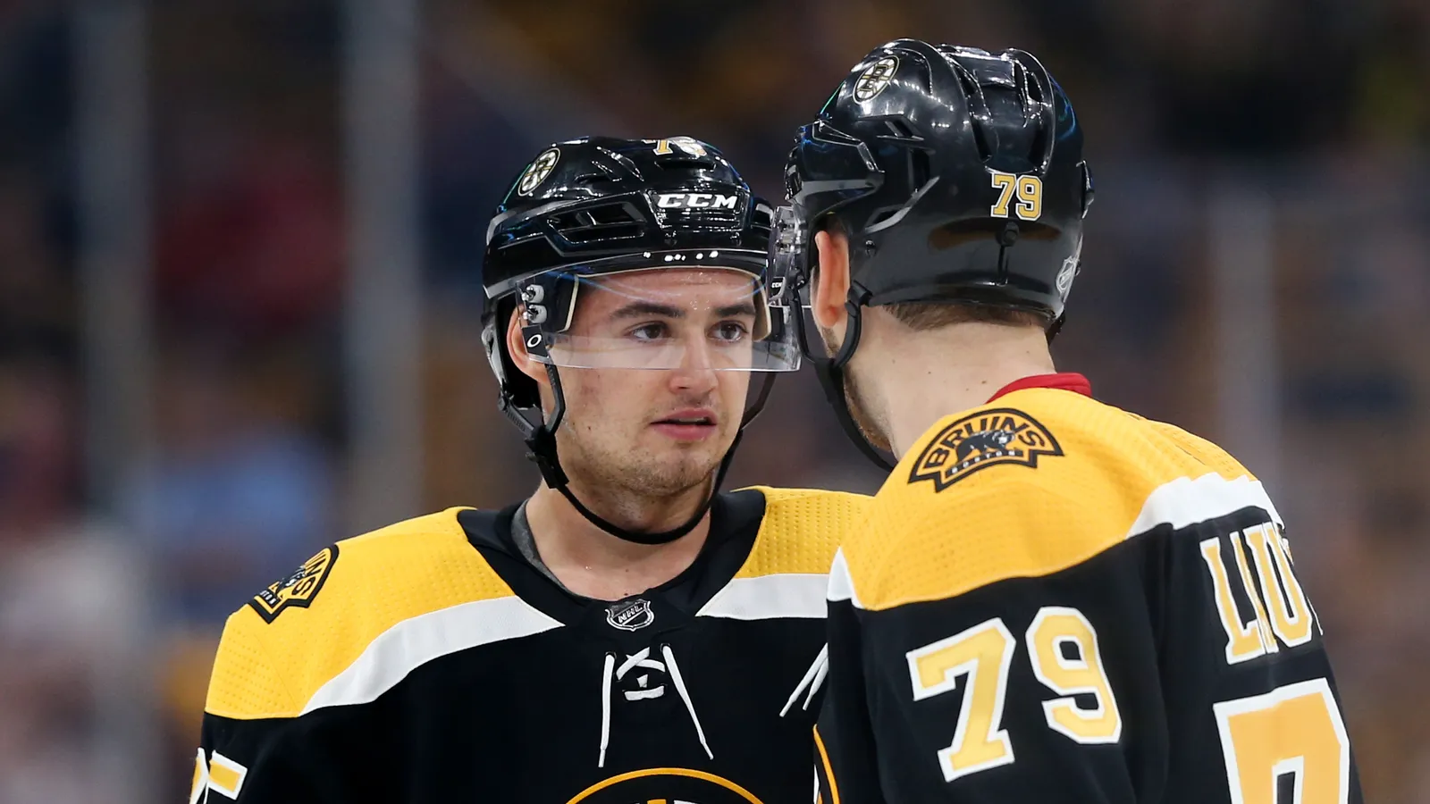 nhl expansion draft bruins