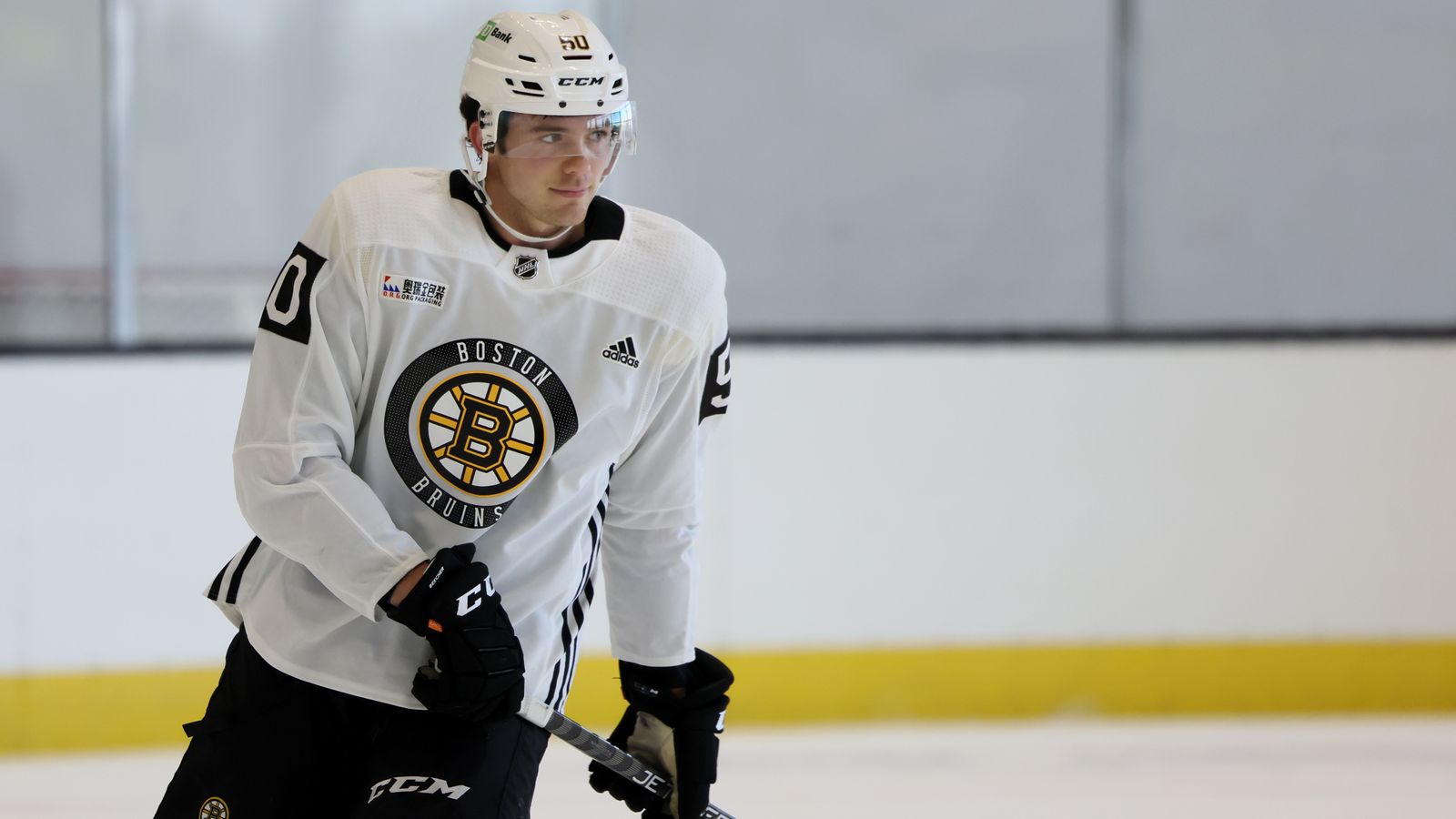 Boston Bruins Spotlight: Hampus Lindholm