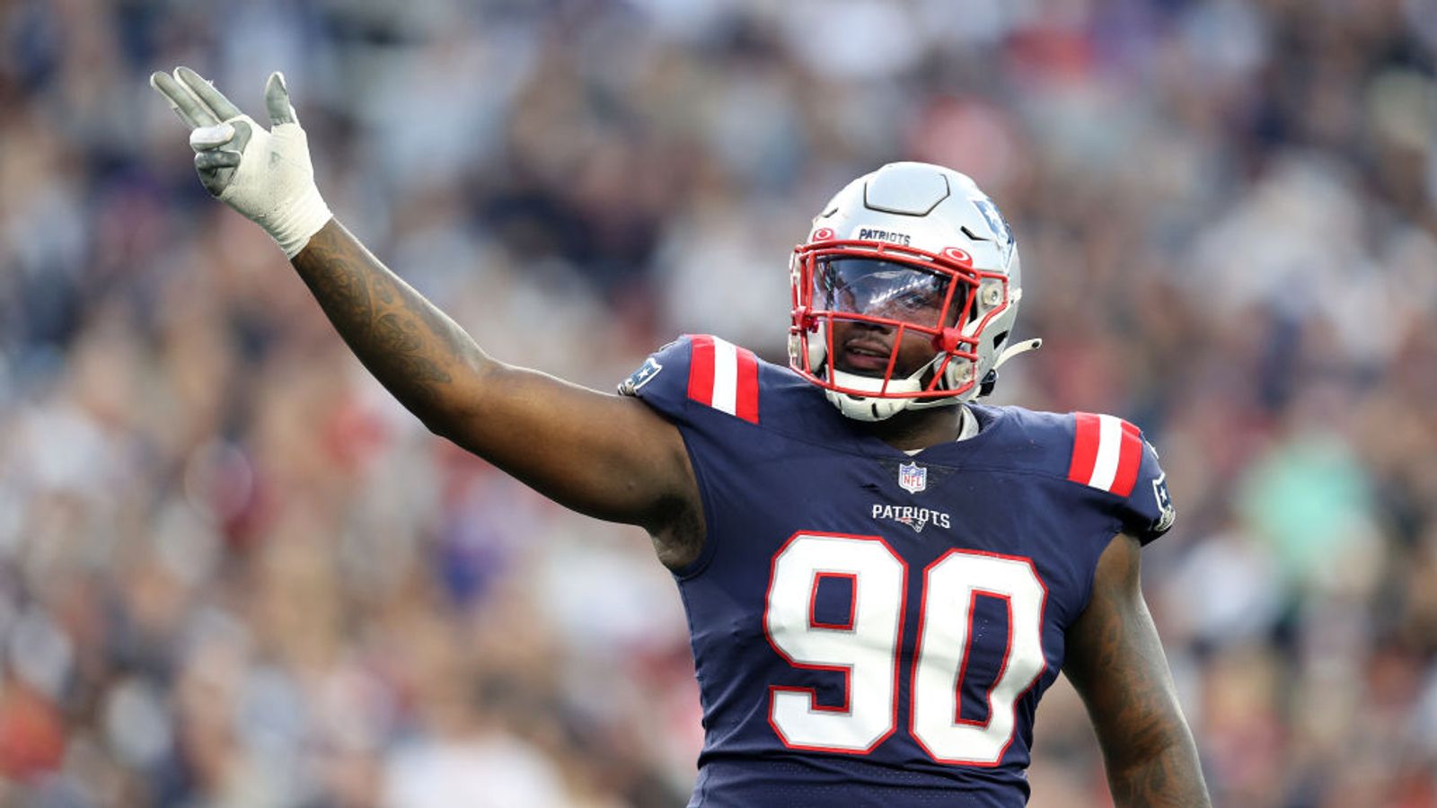 Patriots' Lawrence Guy on the field at training camp