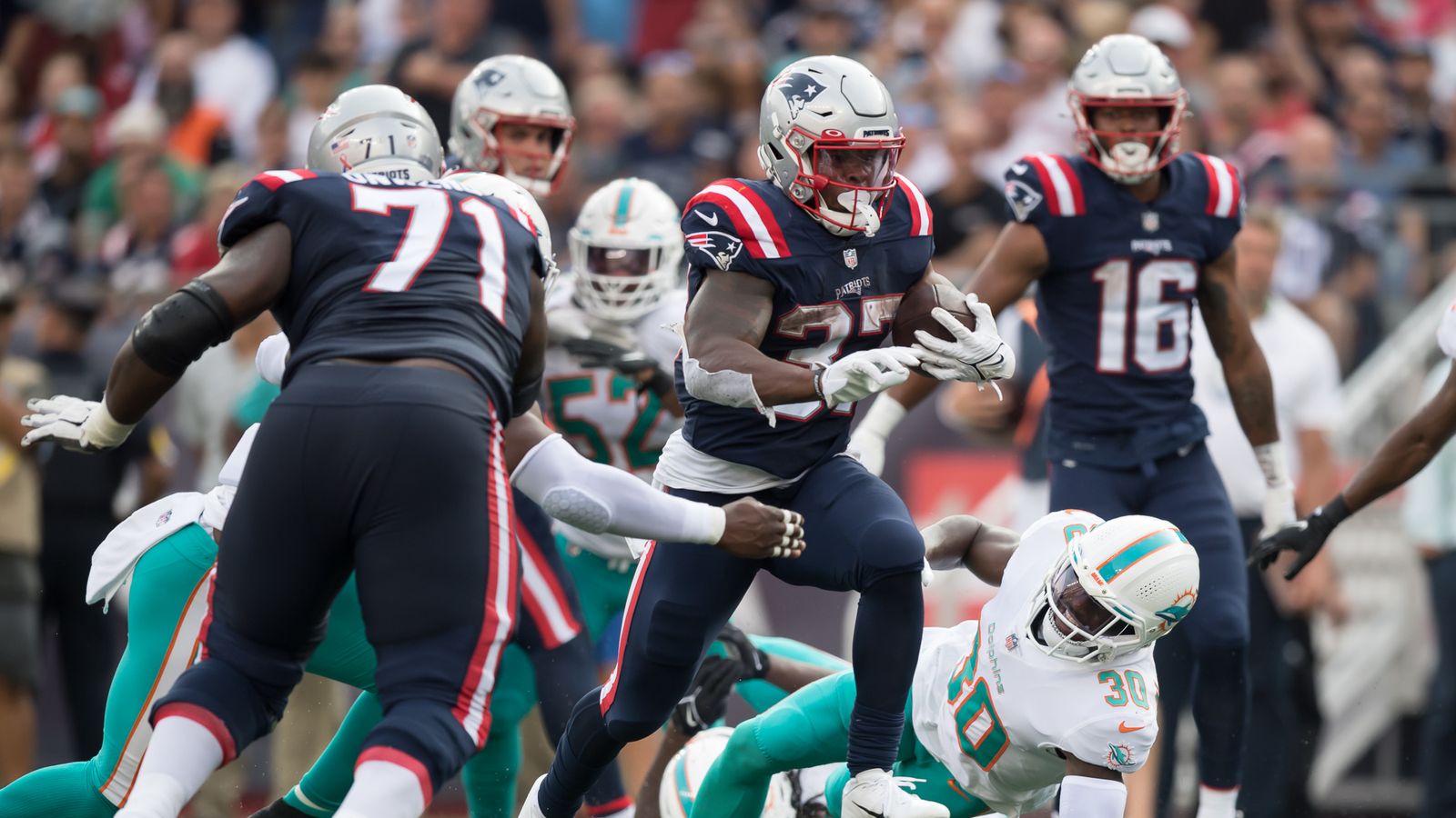 Photo Gallery: Dolphins v. Patriots