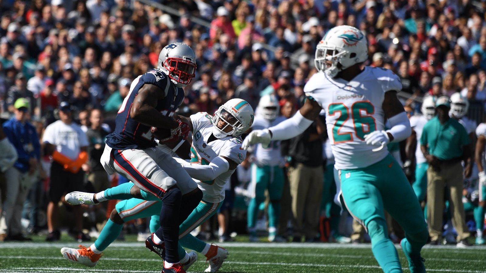 Photo Gallery: Dolphins v. Patriots