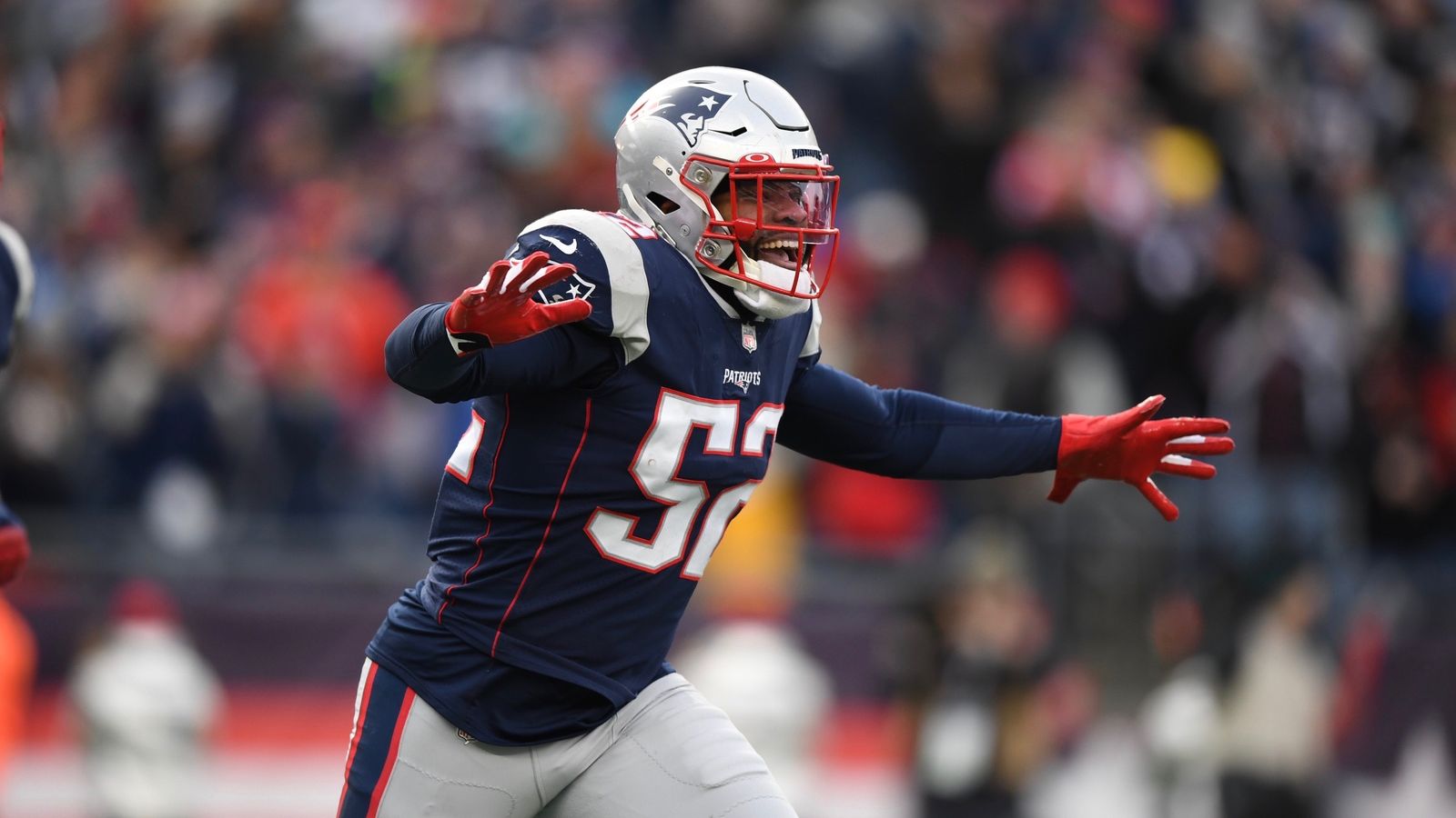 Photo Gallery: Adam Richins' top shots from Patriots-Dolphins 12.29.19